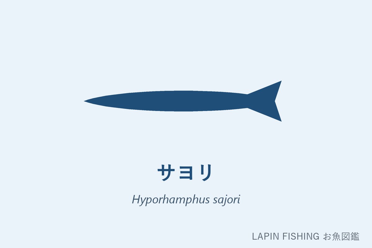 サヨリ（細魚）のシルエット