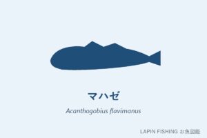 マハゼ（真鯊）のシルエット