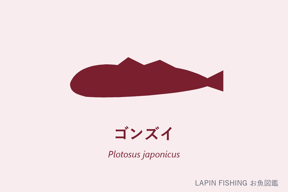 ゴンズイ（権瑞）のシルエット