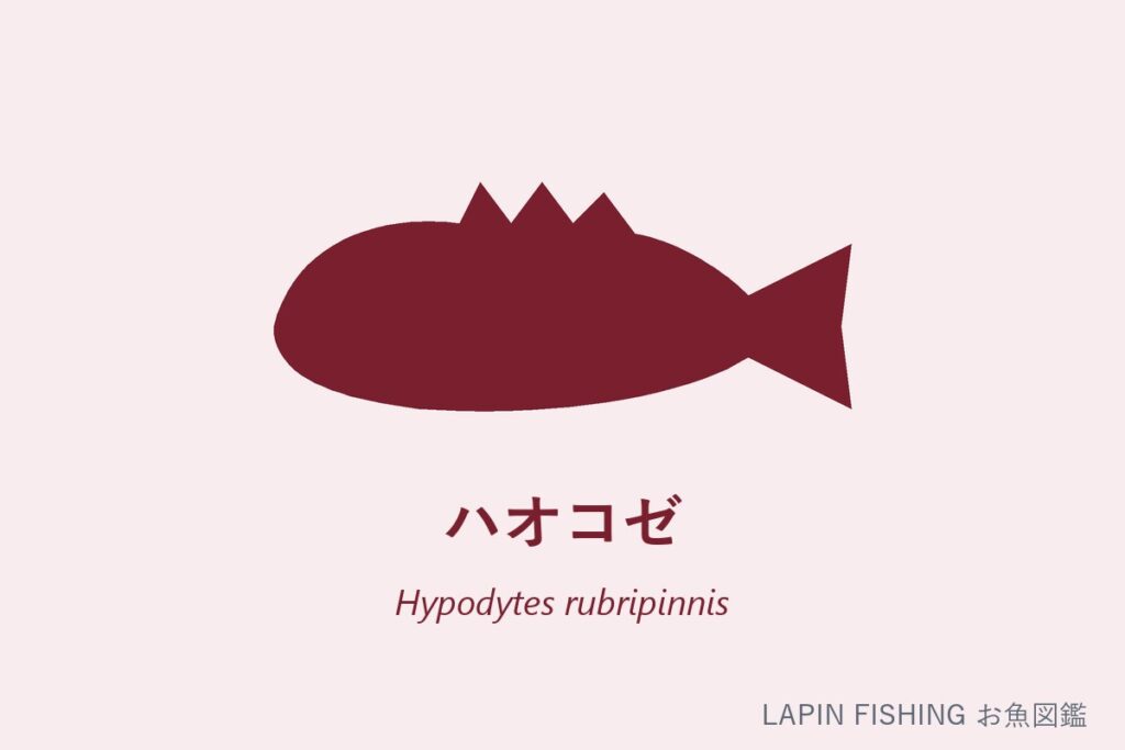 ハオコゼ（葉虎魚）のシルエット