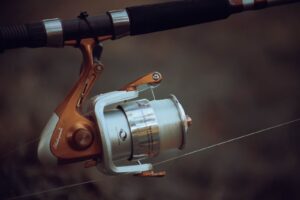 リールのスプールに巻かれた釣り糸