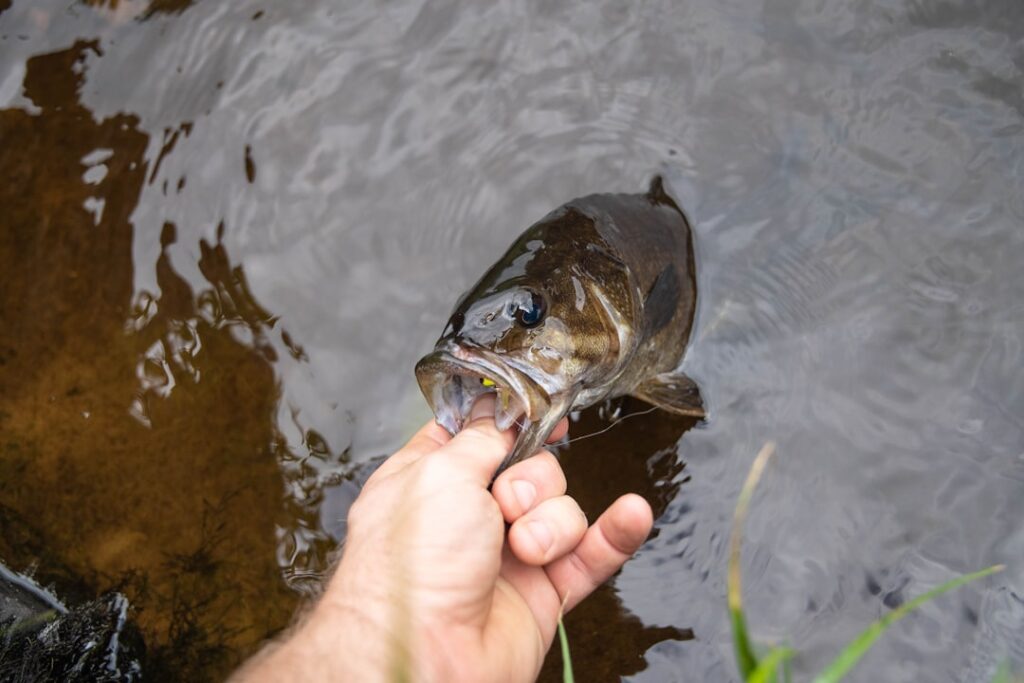 魚を手に持つ人